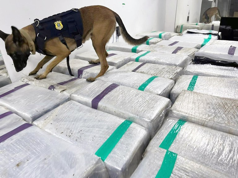 MAY E CORONA NÃO FALHAM - PRF apreende três toneladas de maconha escondidas em caminhão frigorífico
